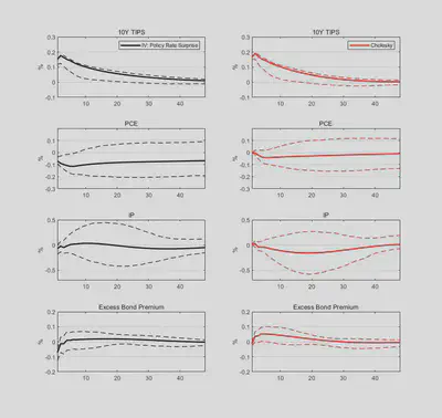 Impulse responses to MP shocks in the interest rate channel